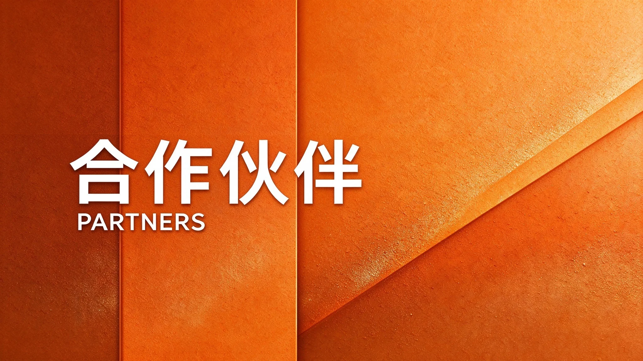 我们的合作伙伴